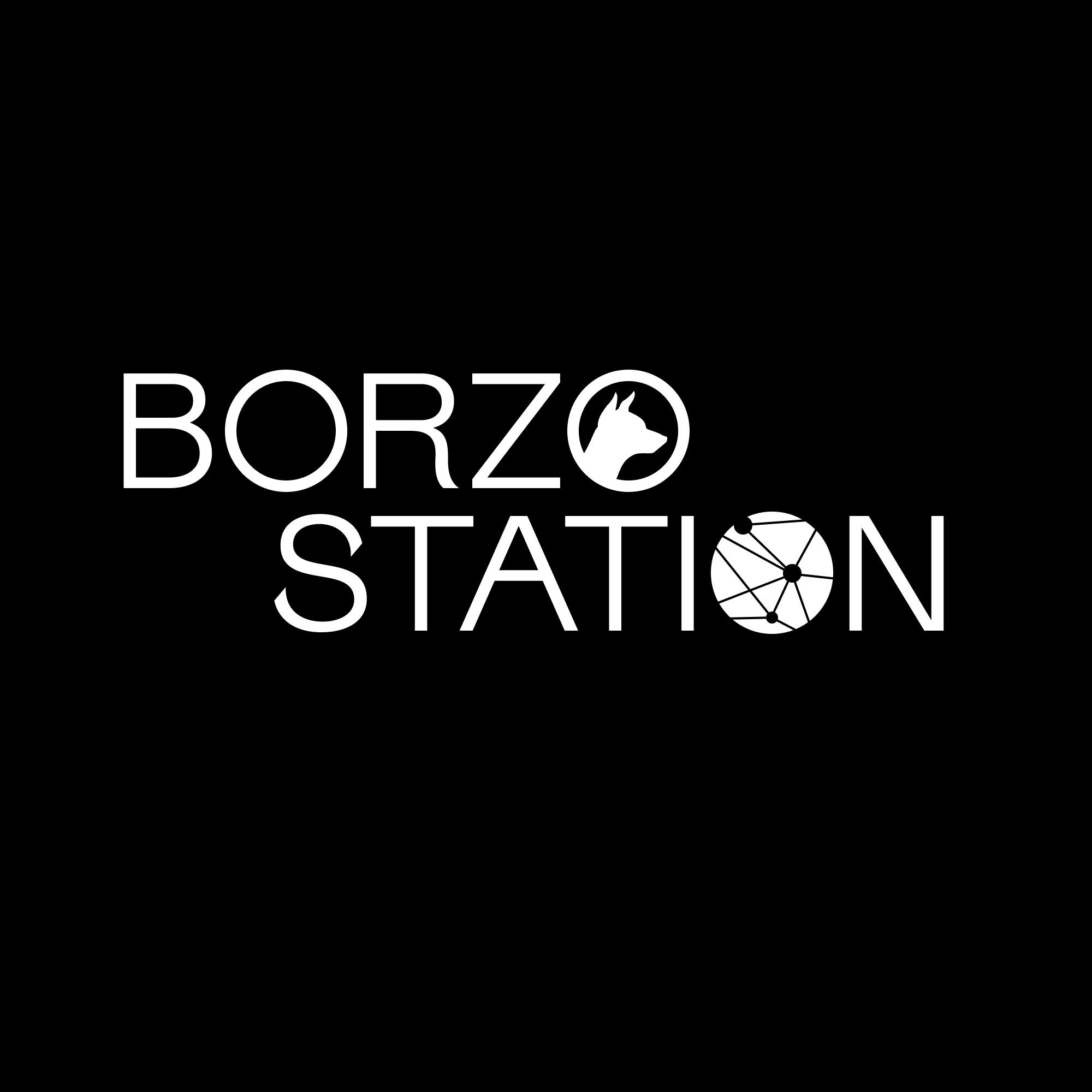 BORZO STATION